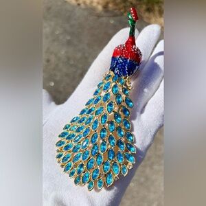 TCHOTCHKE, gorgeous PEACOCK 🦚